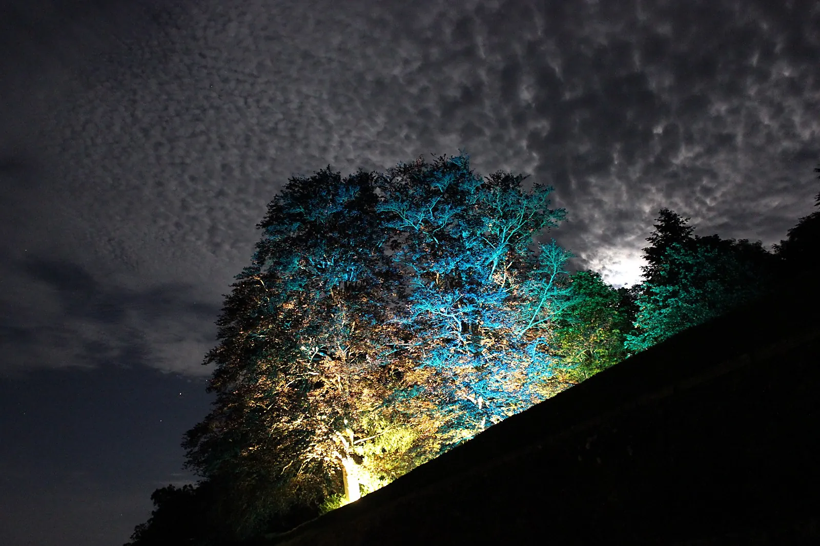 Lieu atypique, SET UNIQUE