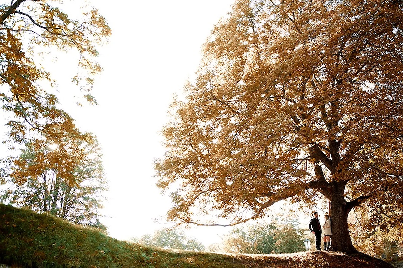 Photographe, LOUIS BRUNET PHOTOGRAPHY