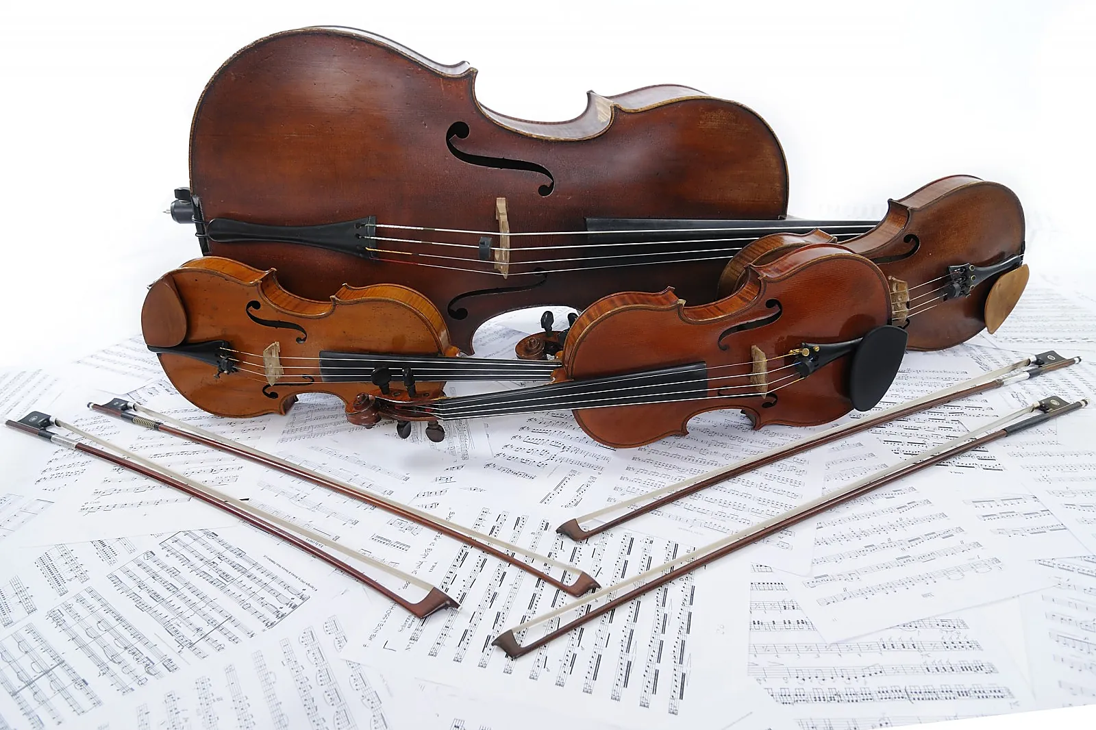 DJ & Groupes de musique, ELEGY QUATUOR 