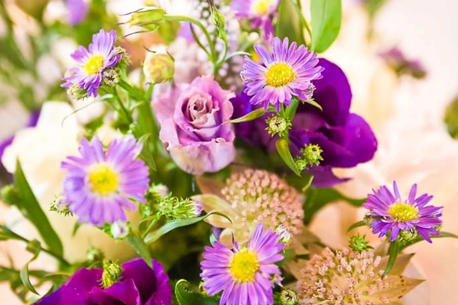 Provence-Alpes-Côte d'Azur, LAWRENCE BANAHAN