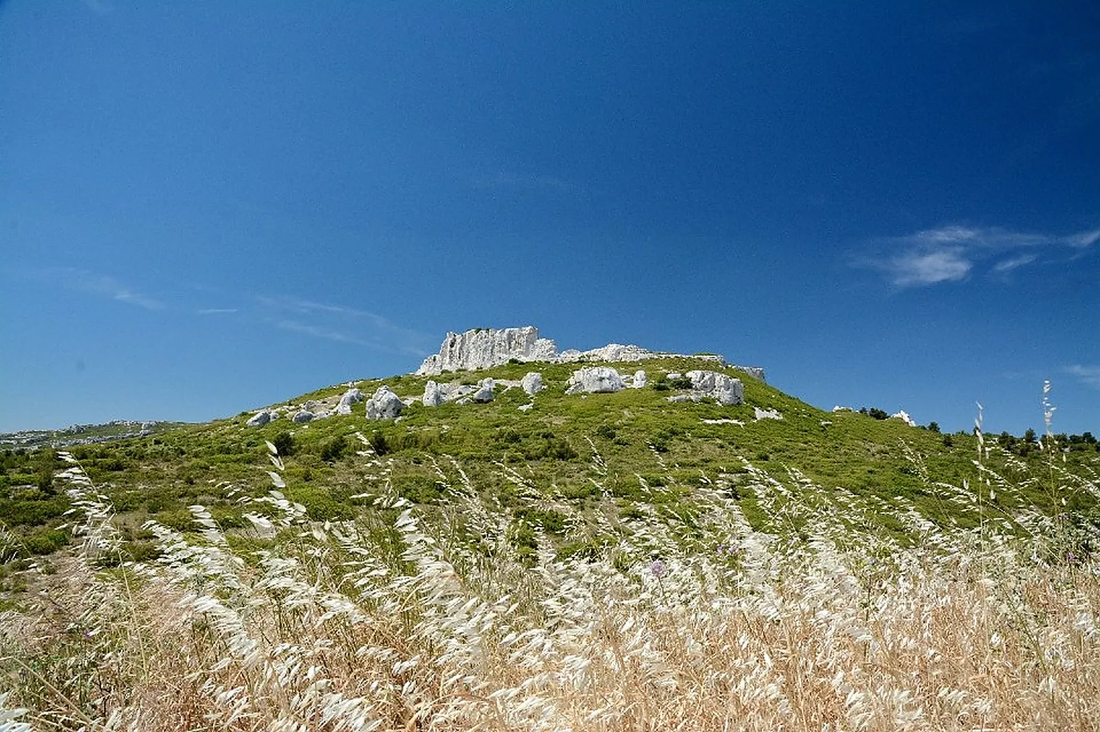 Lieux événementiels, CHÂTEAU VIRANT