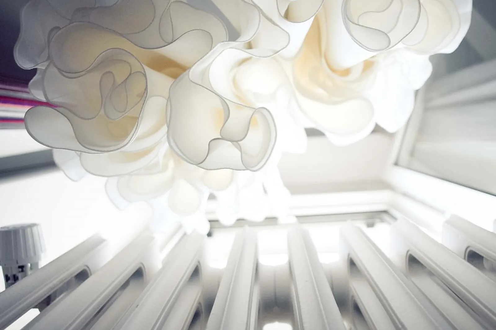 Photographe, JULIEN CLAVIER PHOTOGRAPHE