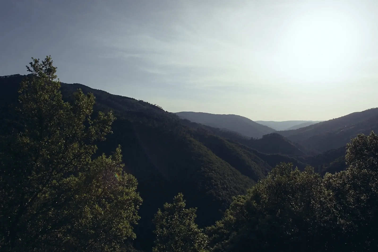 Photographe, JULIEN CLAVIER PHOTOGRAPHE