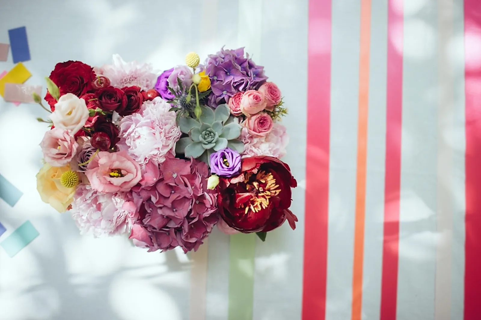 Photographe, JULIEN CLAVIER PHOTOGRAPHE