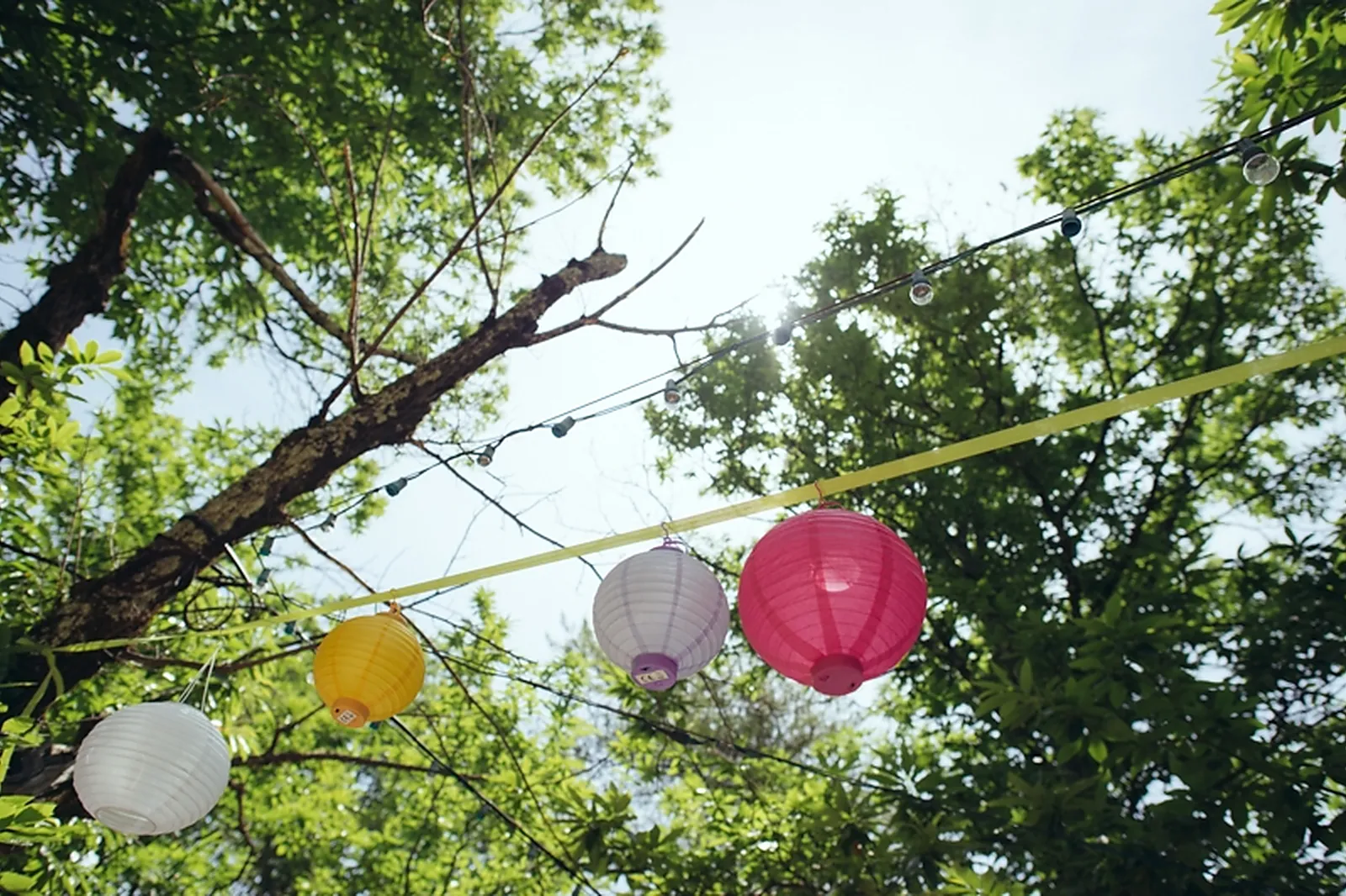 Photographe, JULIEN CLAVIER PHOTOGRAPHE