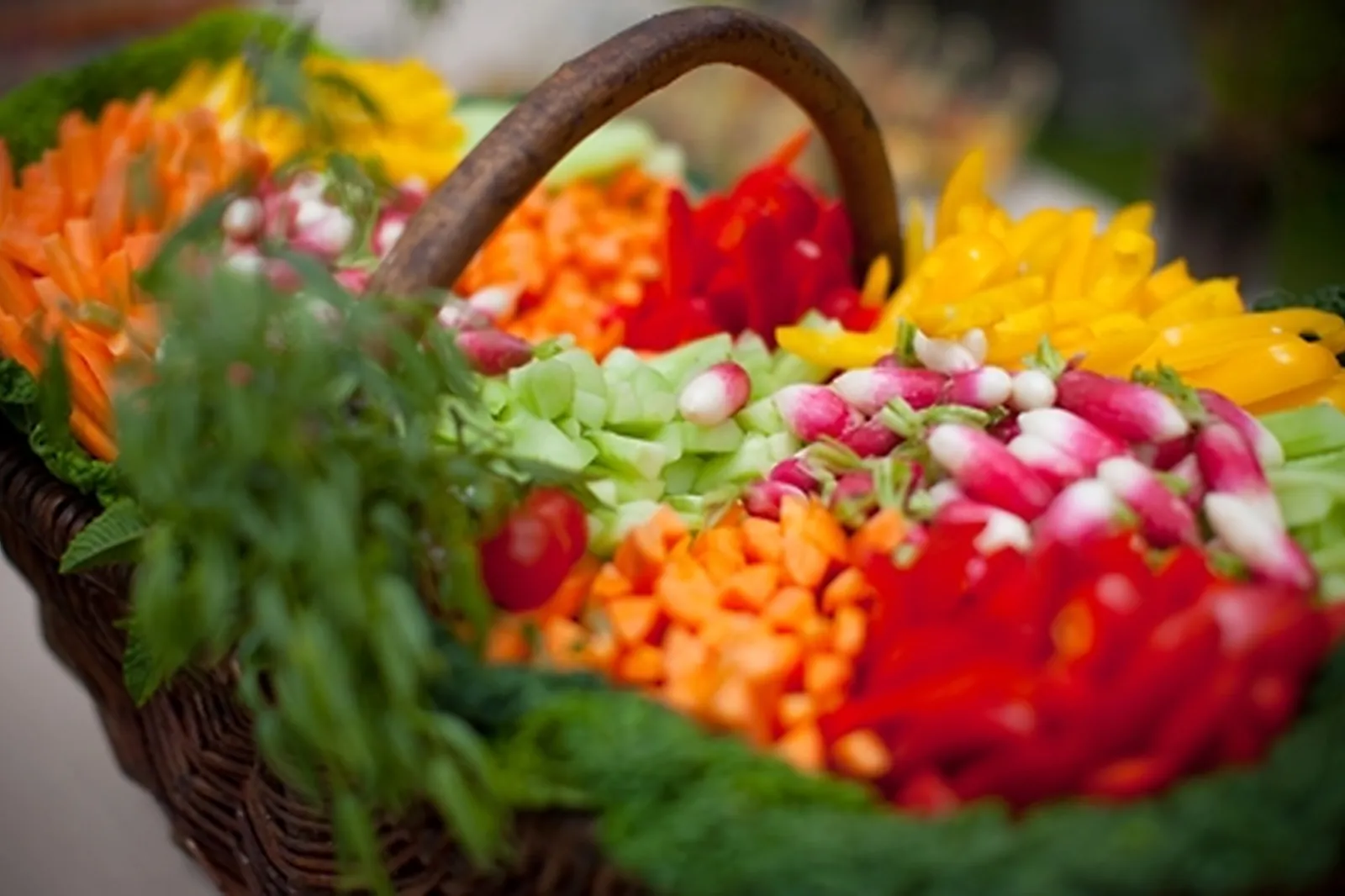 Traiteurs, FREDEVILLE ORGANISATION