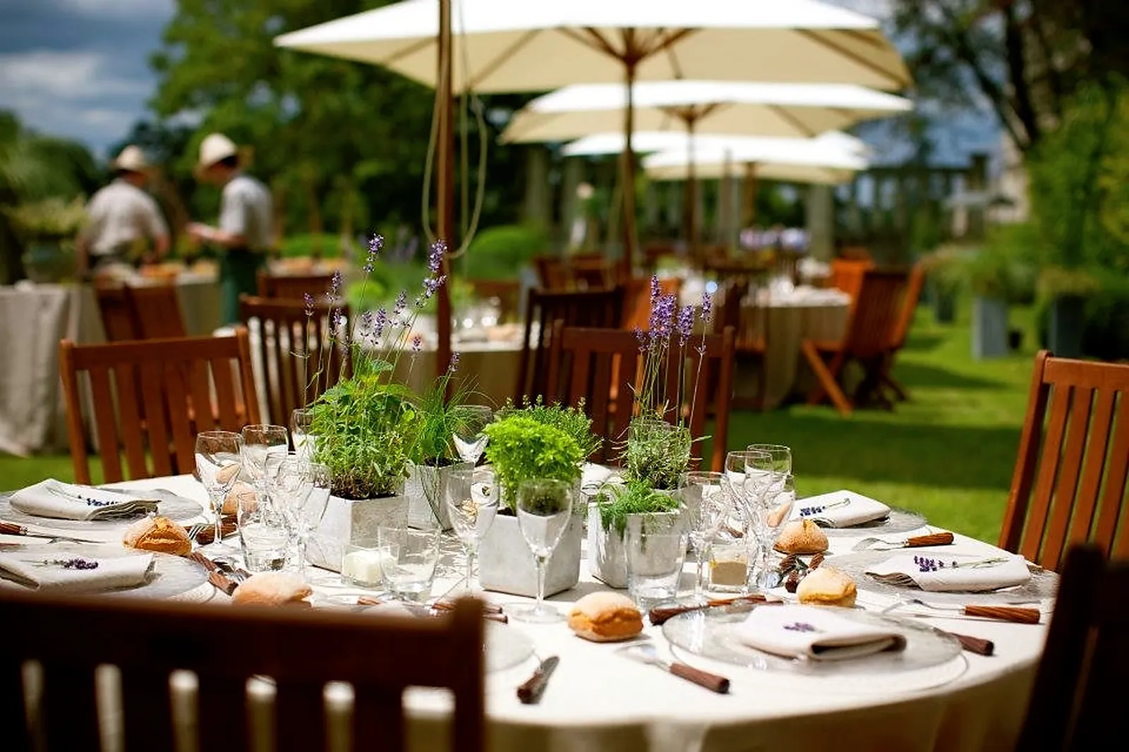 Traiteurs, FREDEVILLE ORGANISATION