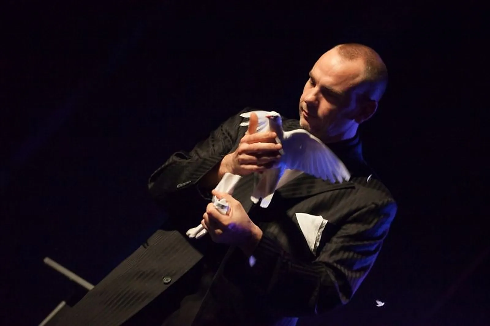 Animations événementielles, DAVID MORGANN