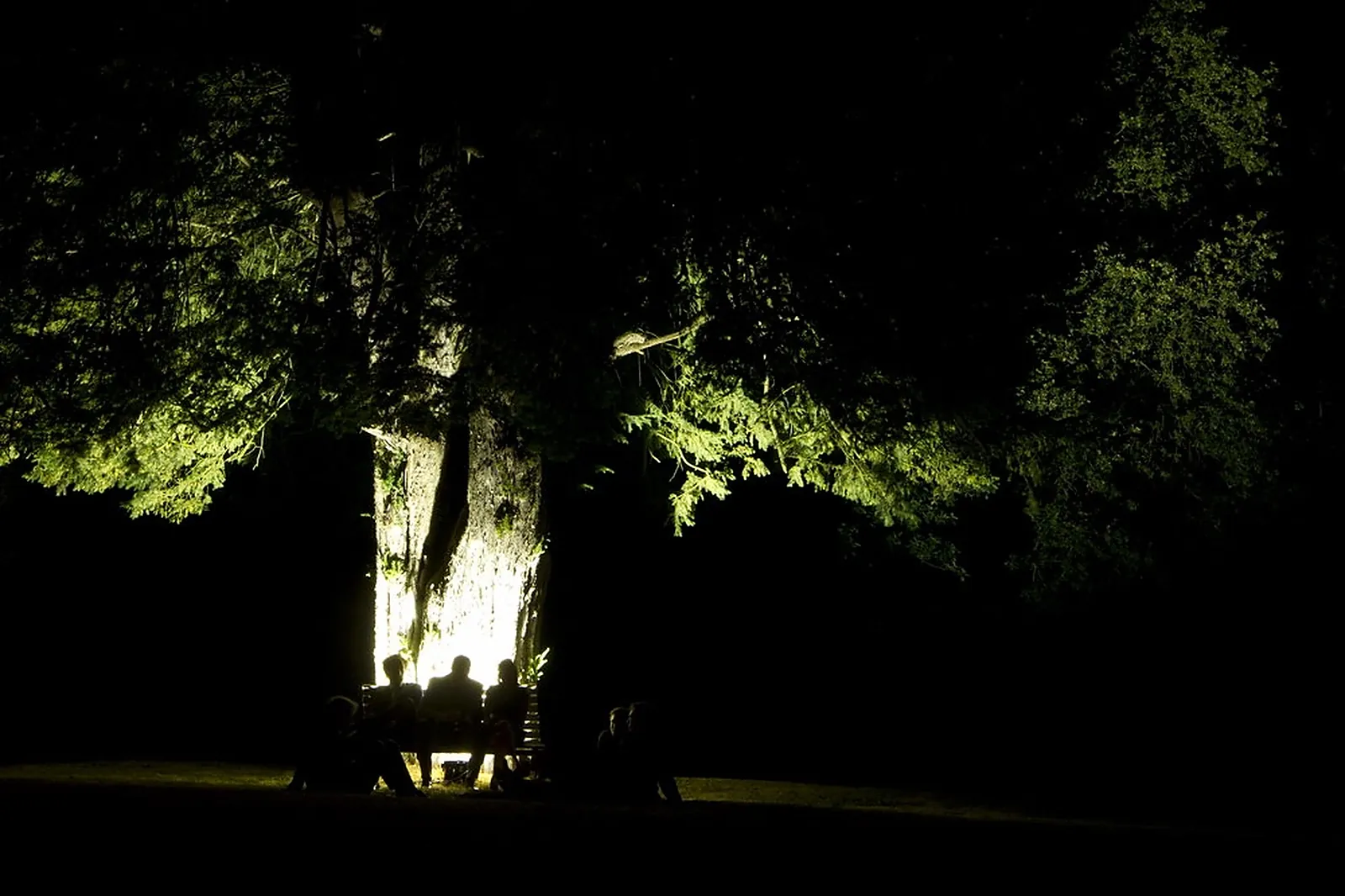 Cafés et Restaurants, PIERRE ET PIERRE