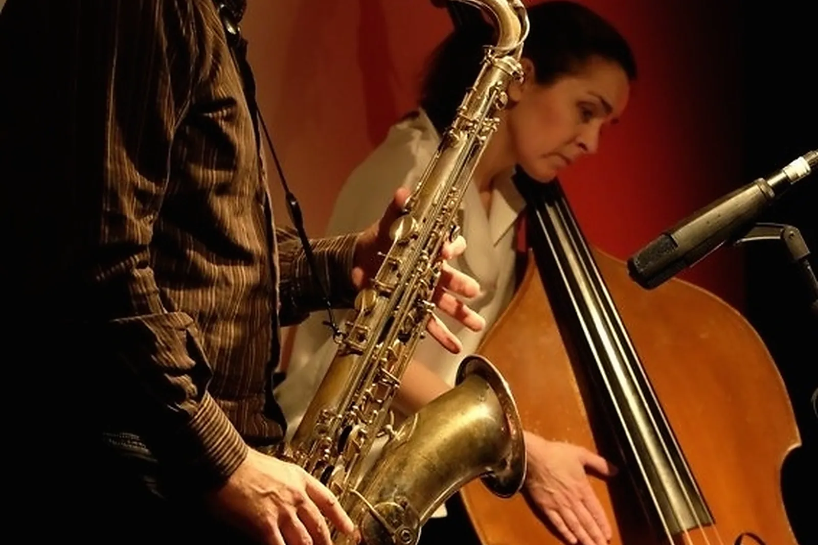 DJ & Groupes de musique, B2S - BASS SAX & SUN