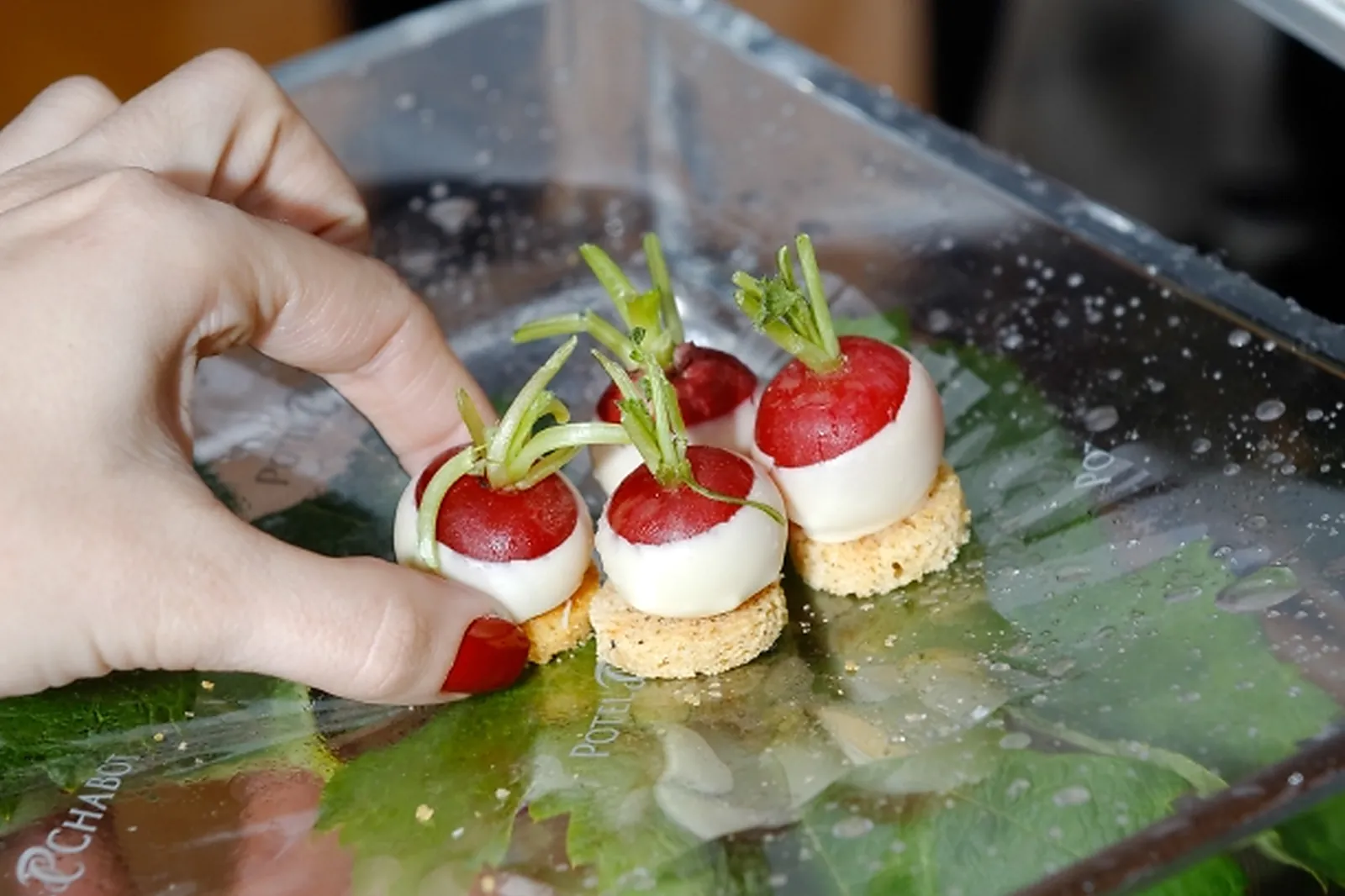 Photographe, JONATHAN BARBOT