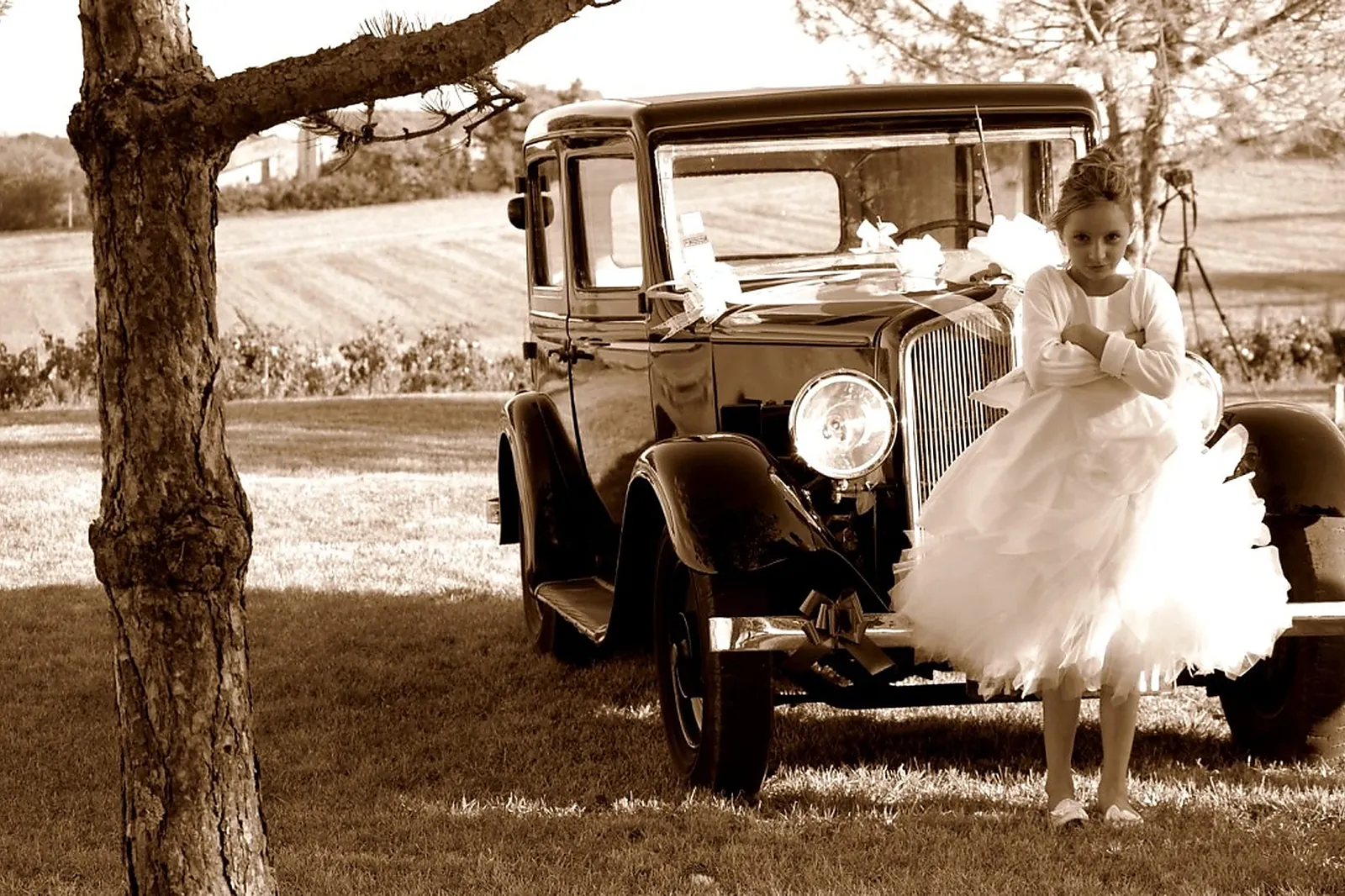 Photographe, JULIEN GONGORA PHOTOGRAPHIE