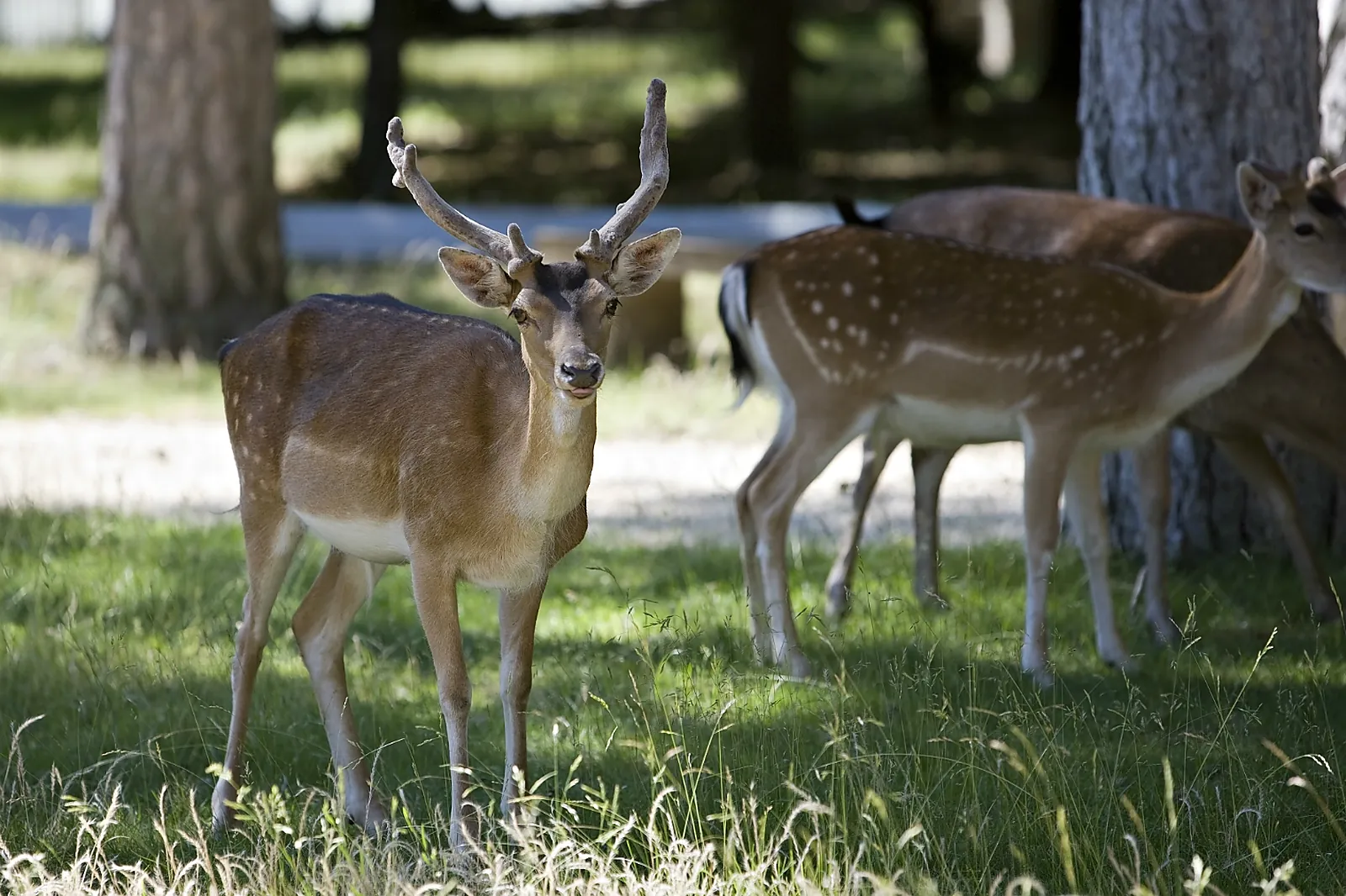 Lieux événementiels, CHÂTEAU DE ROCHEGUDE