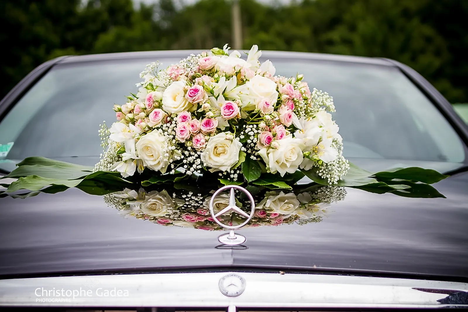 Photographe, CHRISTOPHE GADEA PHOTOGRAPHE