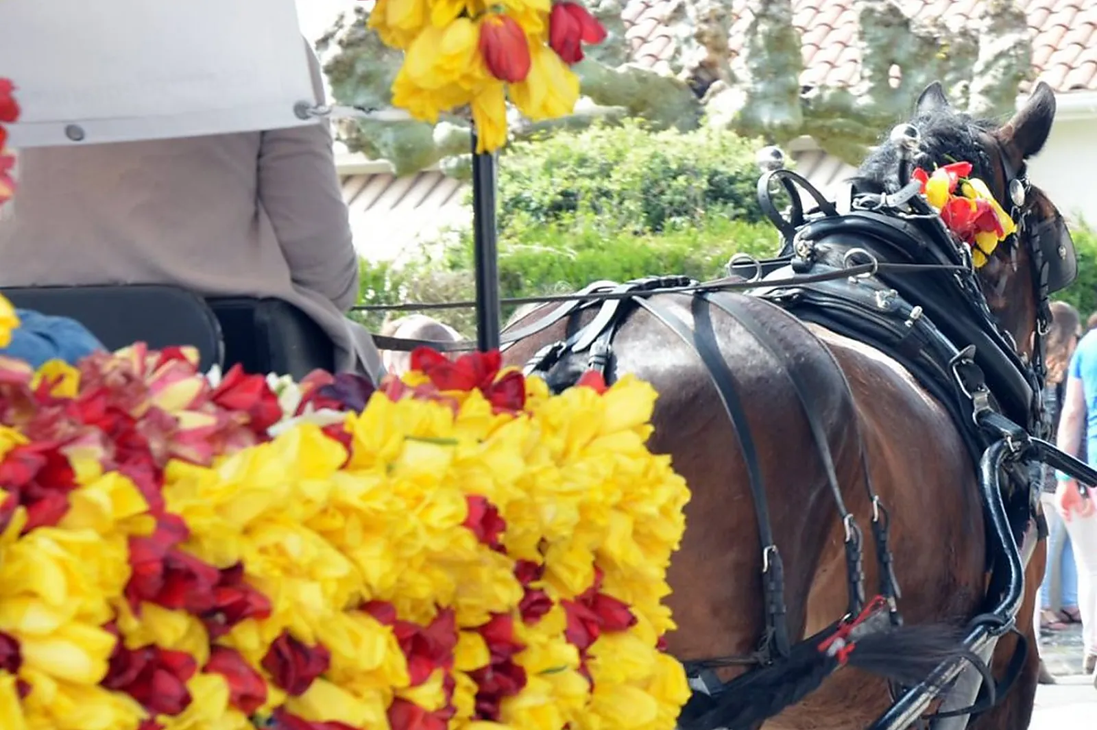 Lieu atypique, MACALECHE