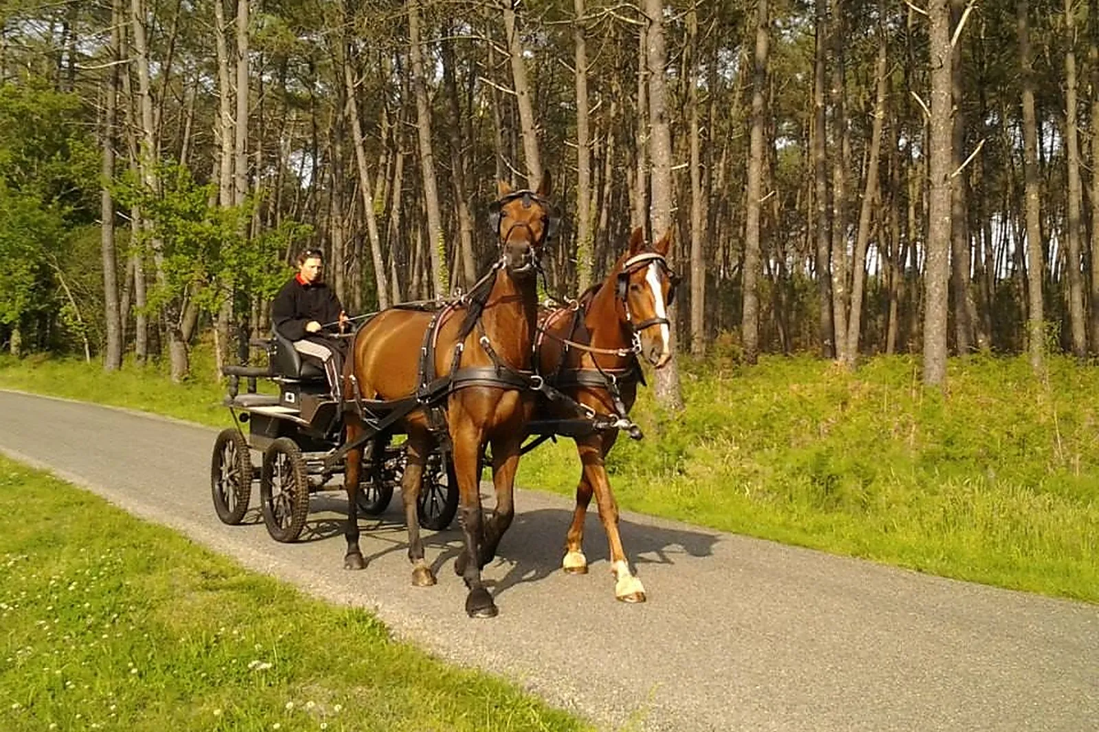 Lieu atypique, MACALECHE