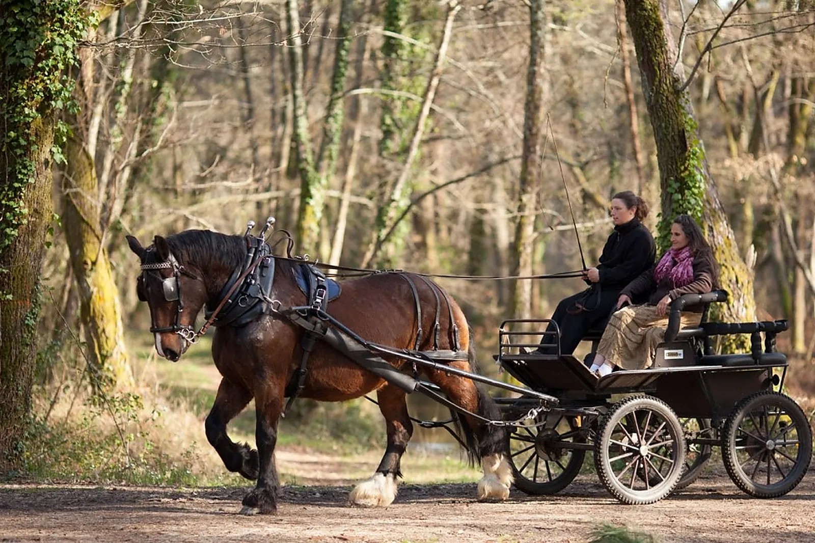 Lieu atypique, MACALECHE