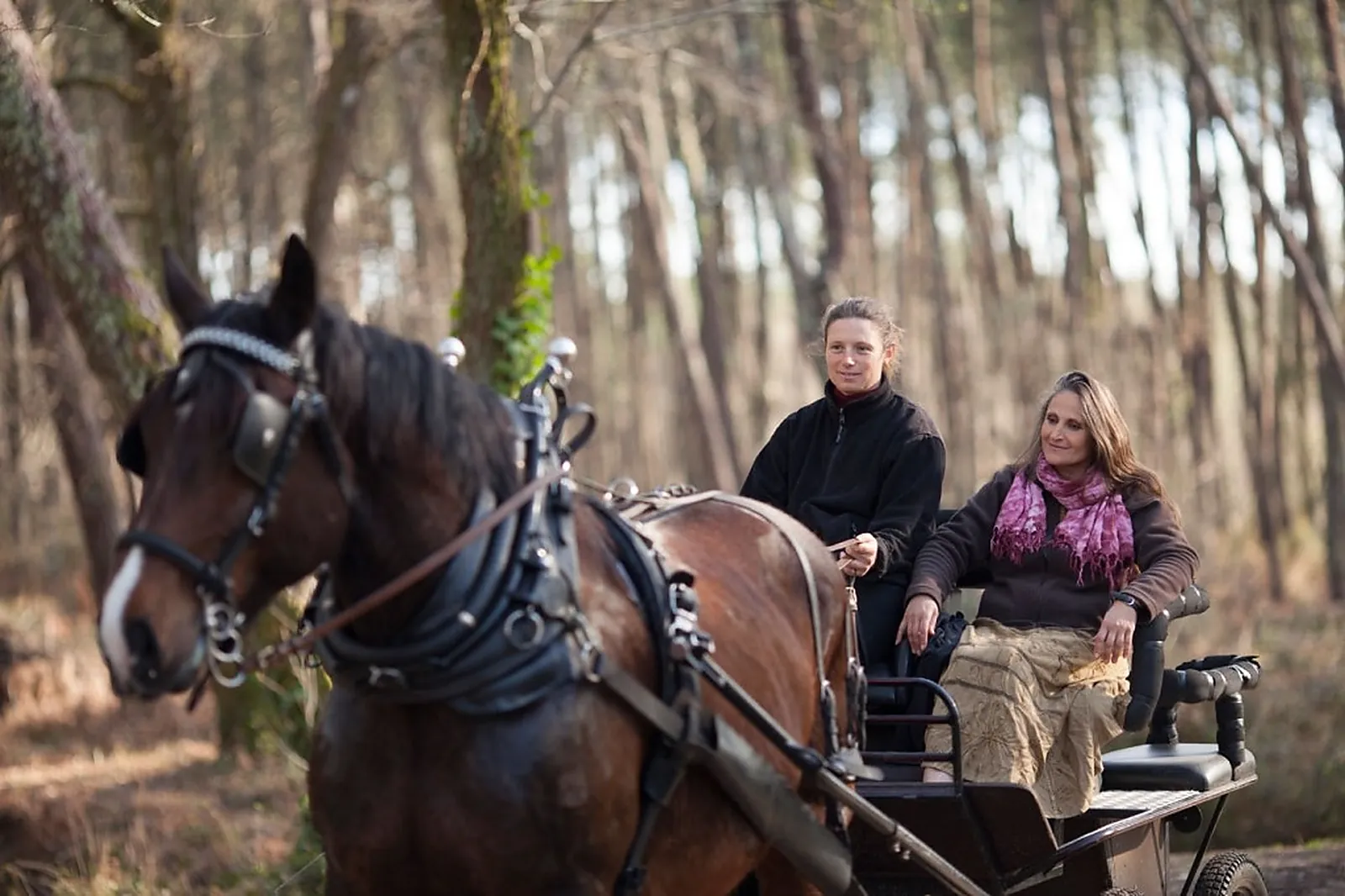 Lieu atypique, MACALECHE