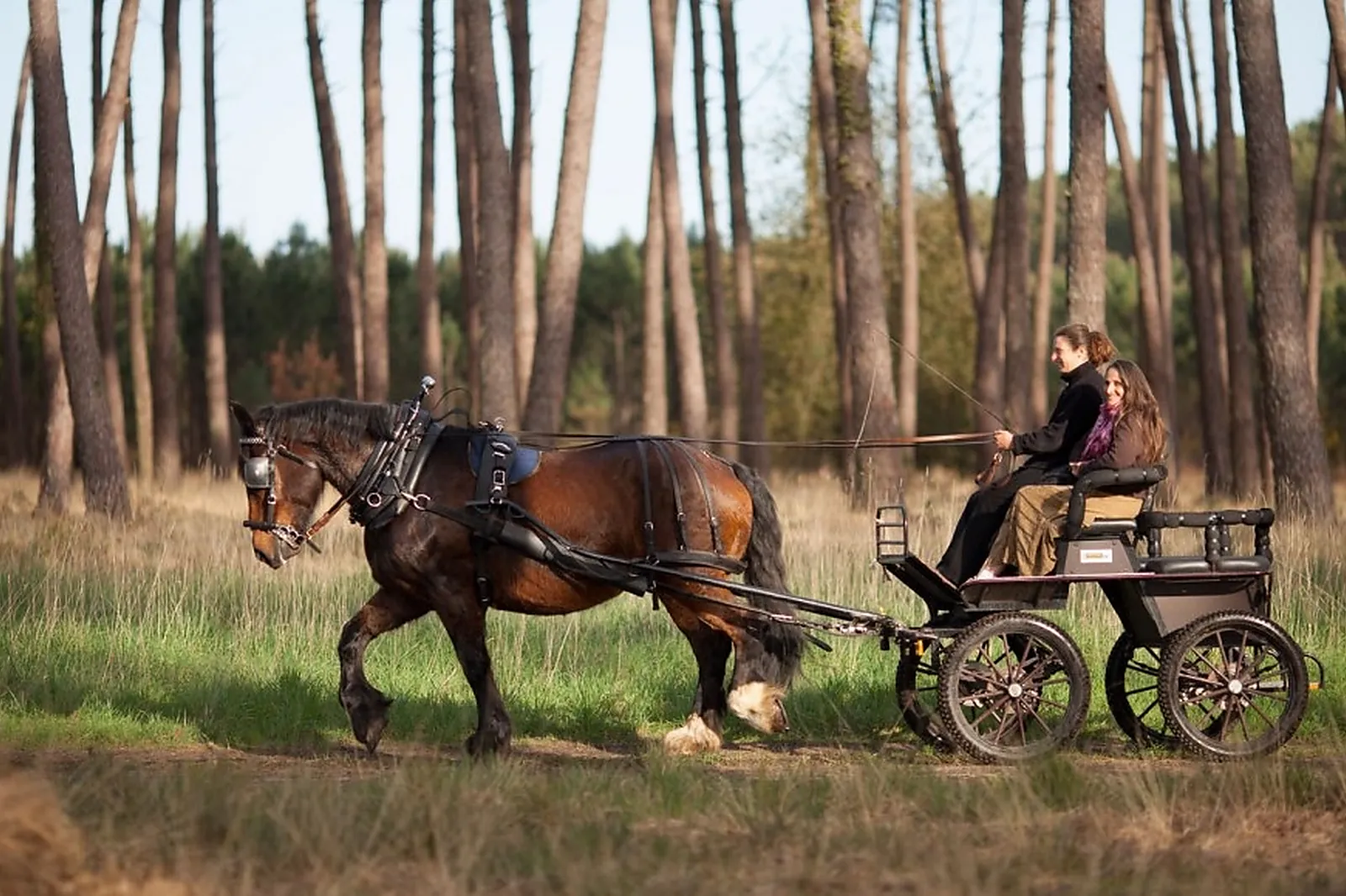 Lieu atypique, MACALECHE