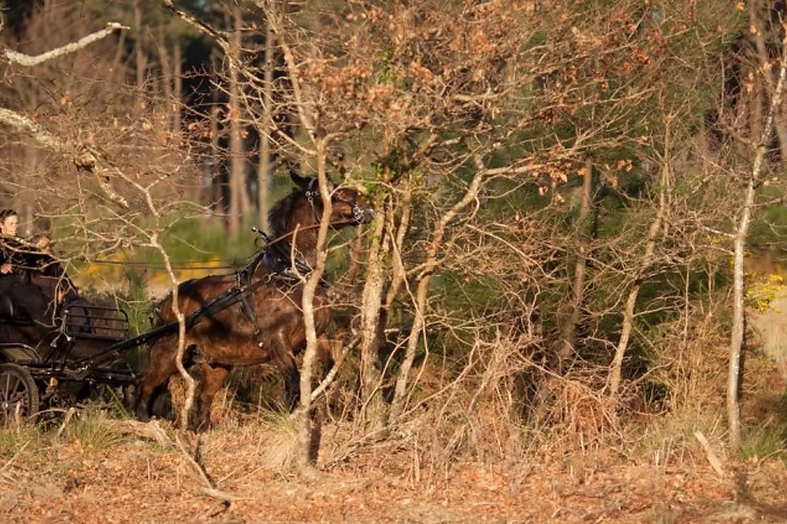 Lieu atypique, MACALECHE