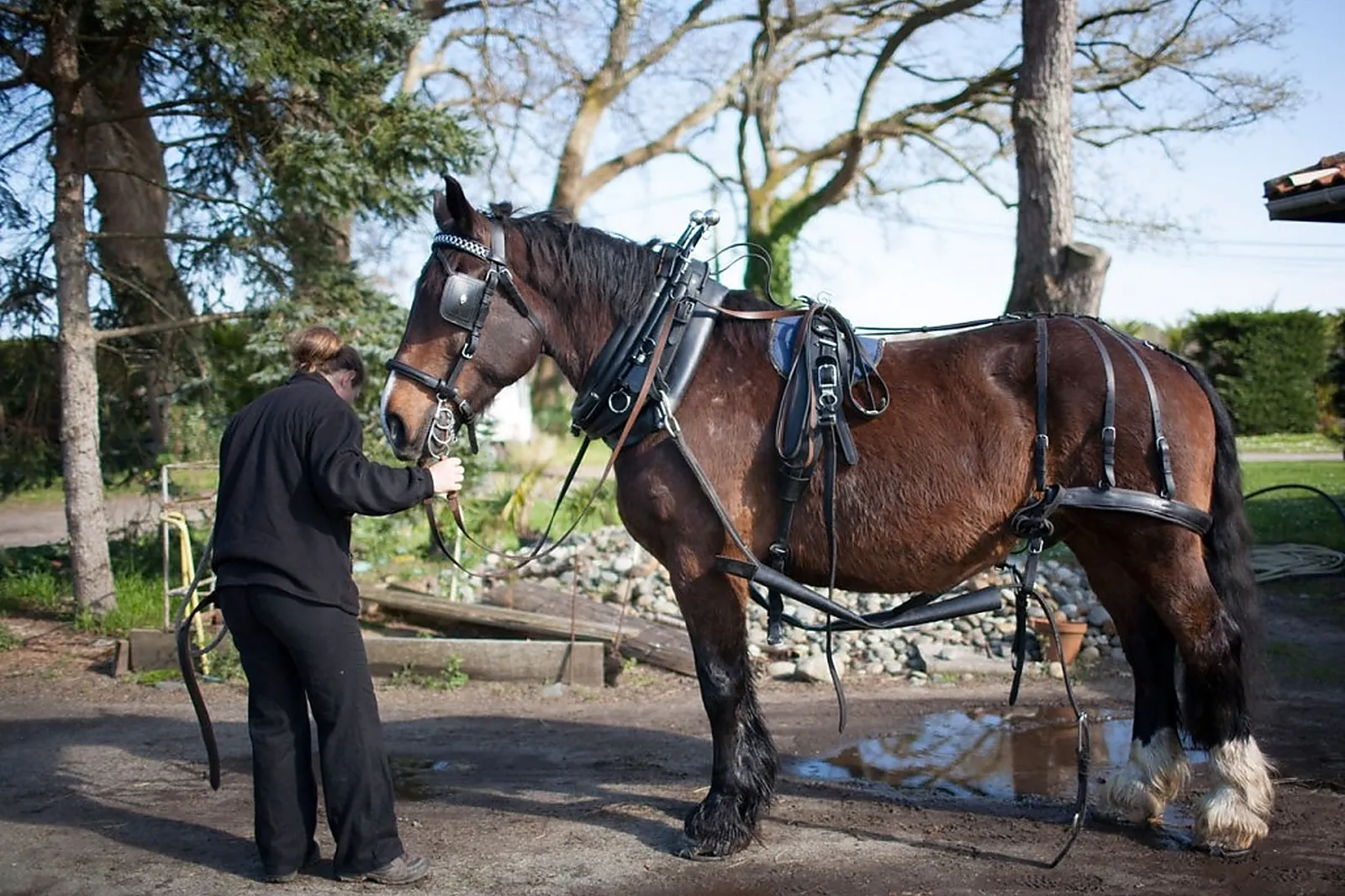 Lieu atypique, MACALECHE