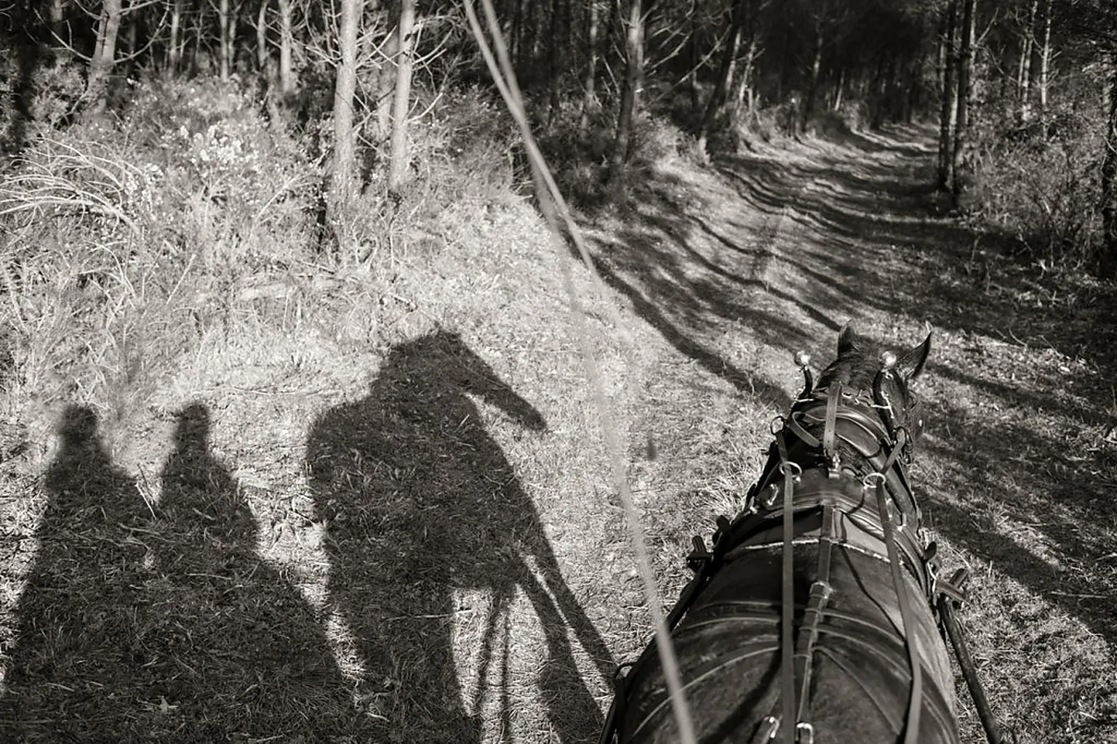 Lieu atypique, MACALECHE