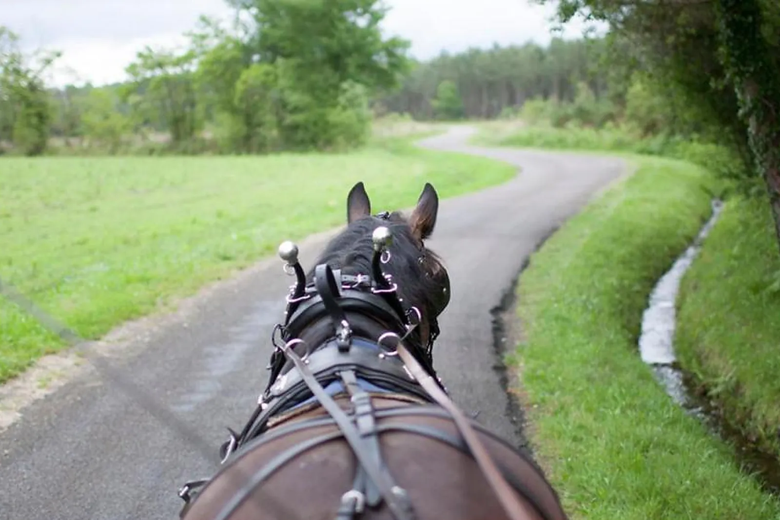 Lieu atypique, MACALECHE