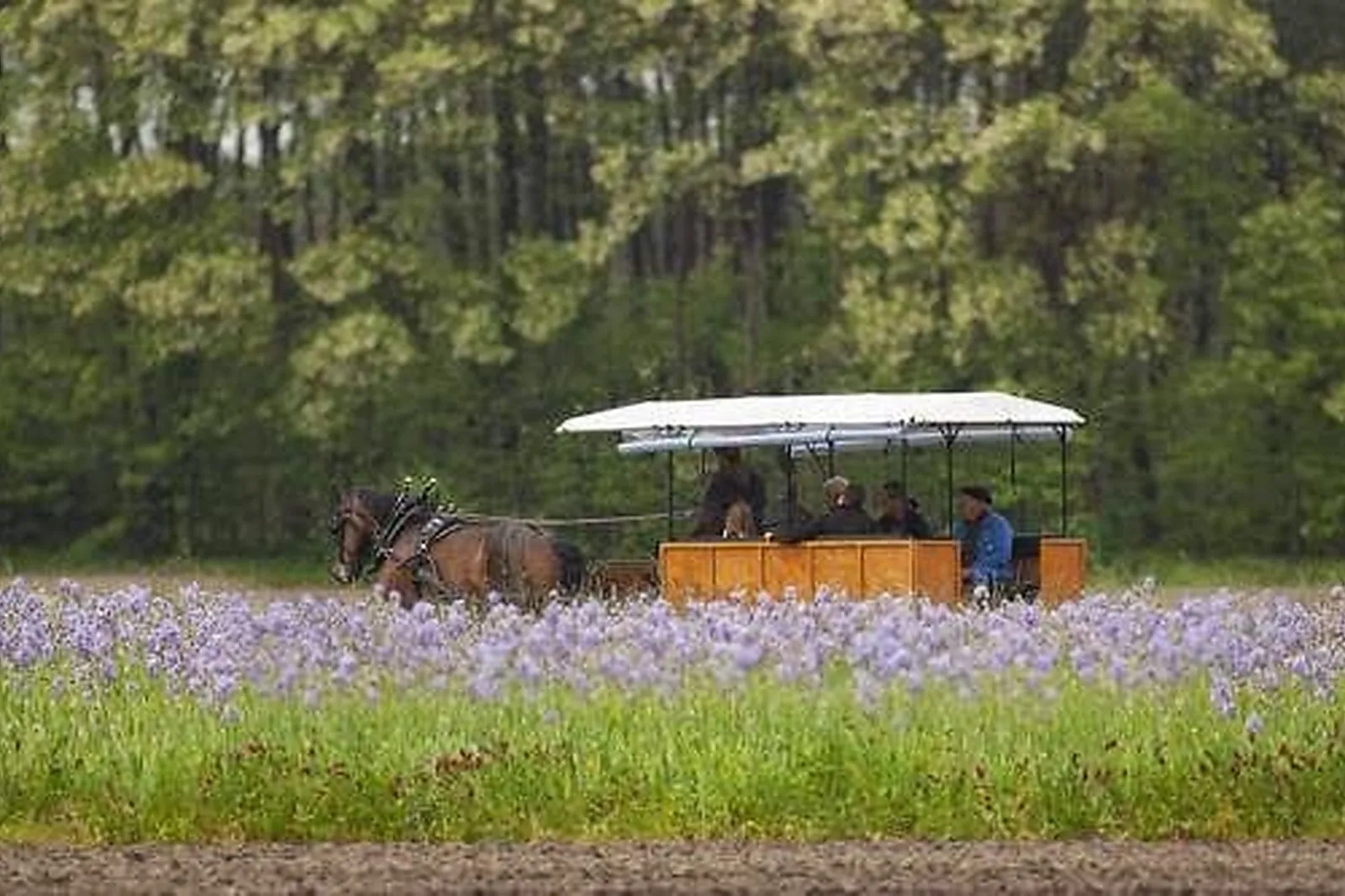 Lieu atypique, MACALECHE