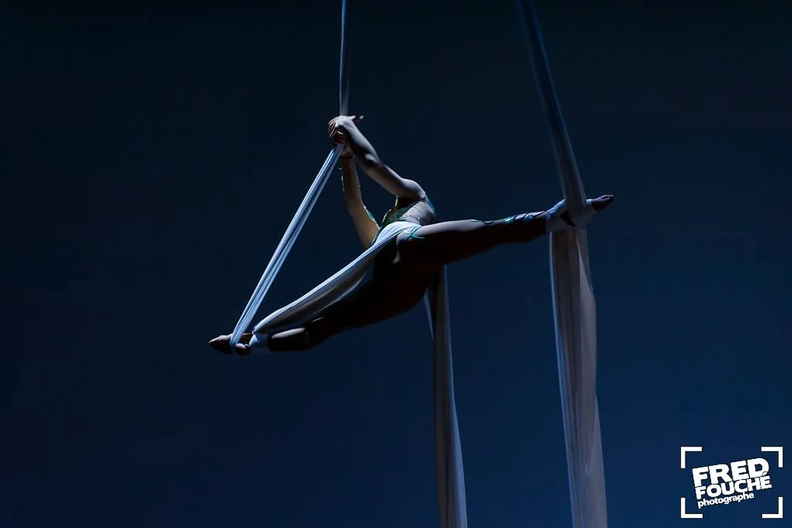 Photographe, SERENA ORTEGA