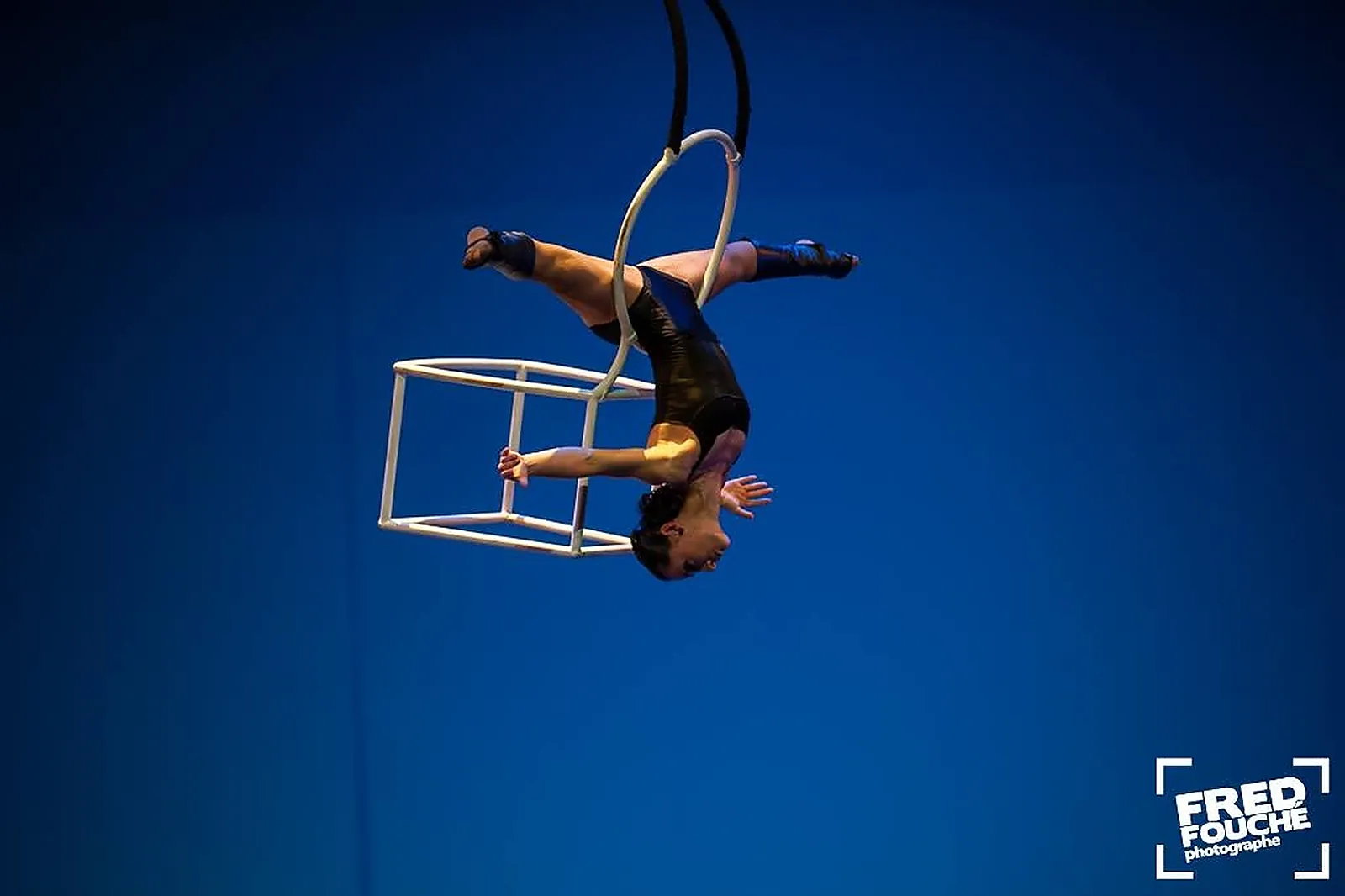 Photographe, SERENA ORTEGA