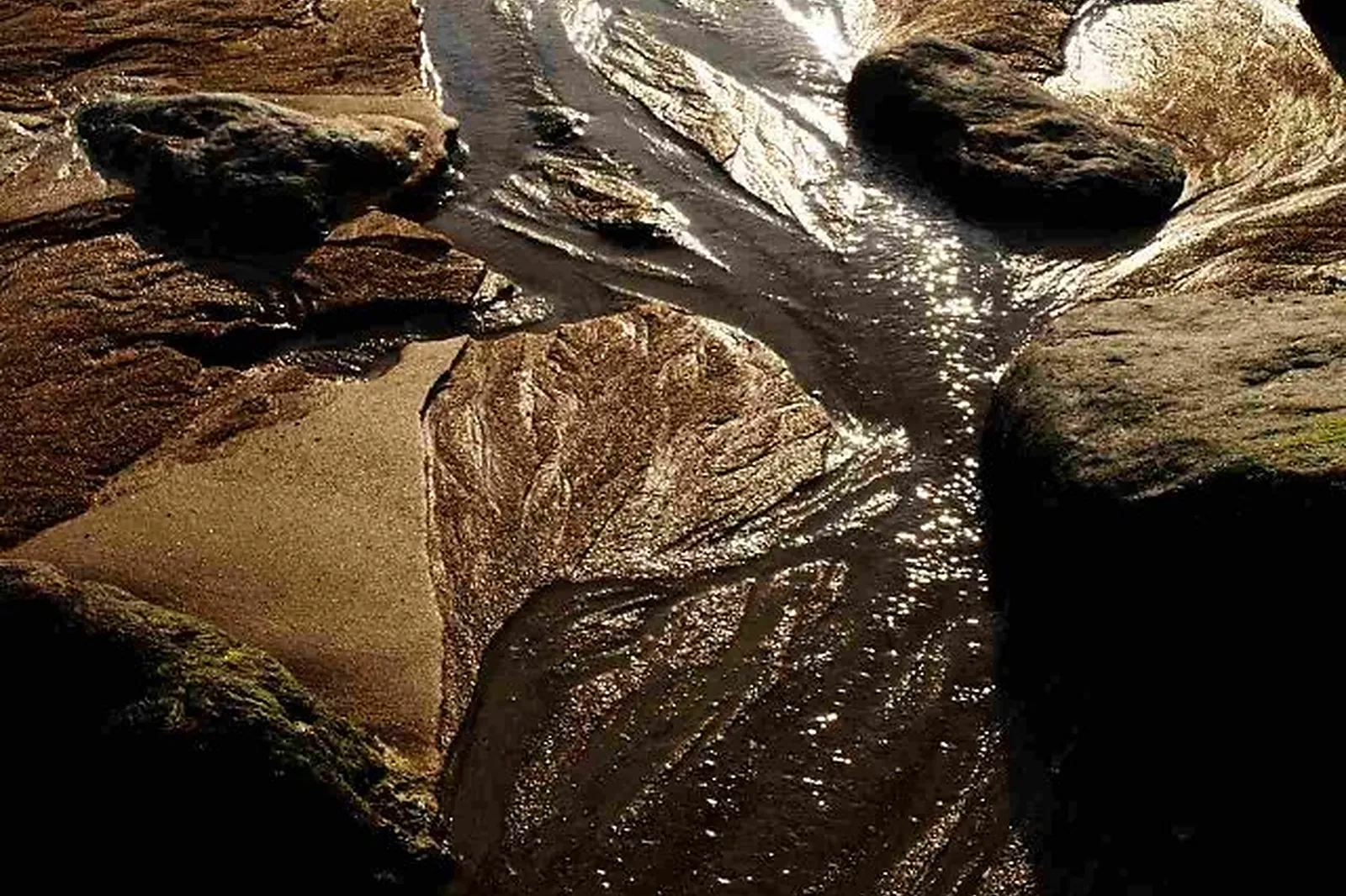 Animations événementielles, LA MOUCHE PRODUCTION