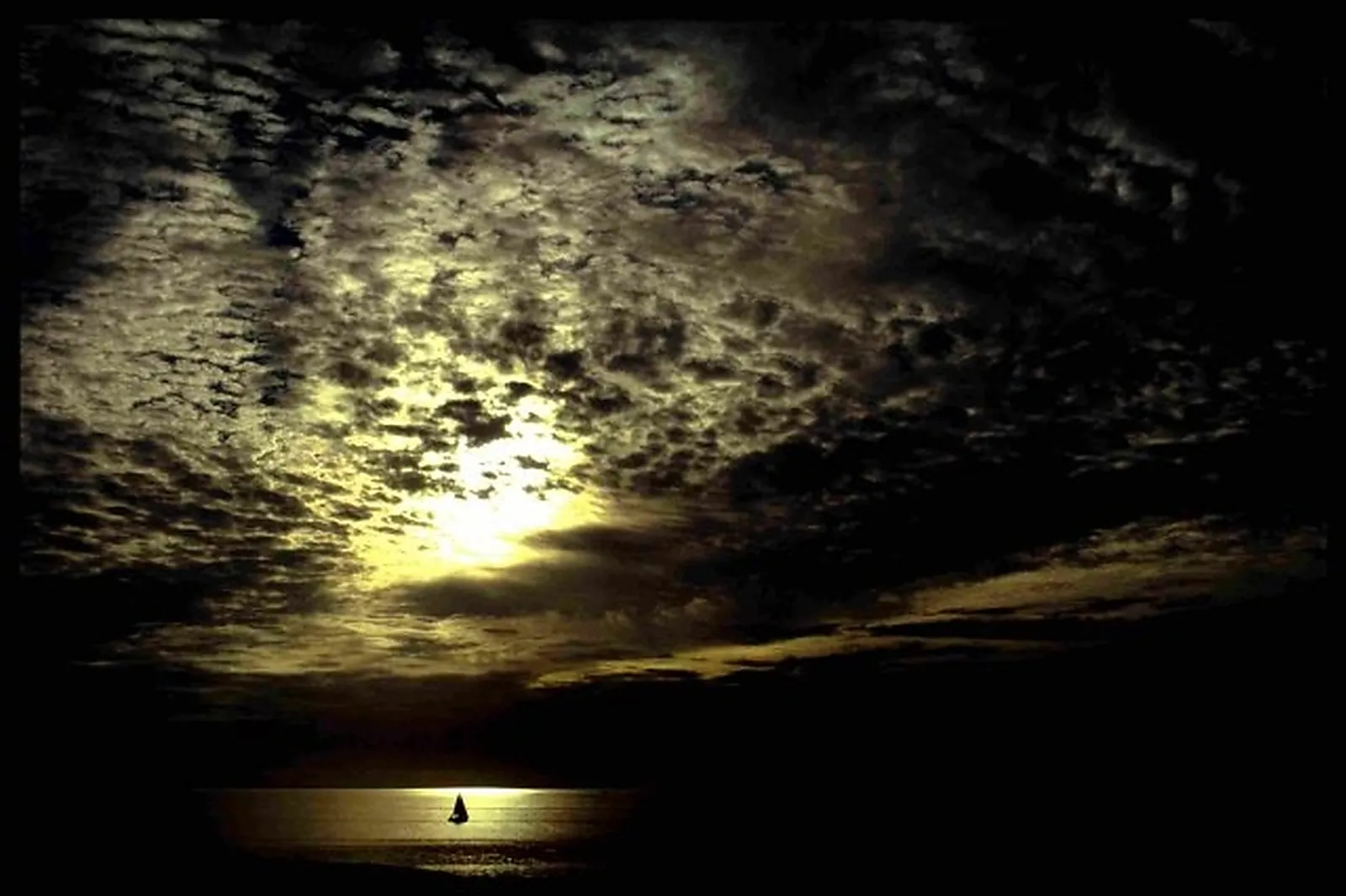 Animations événementielles, LA MOUCHE PRODUCTION