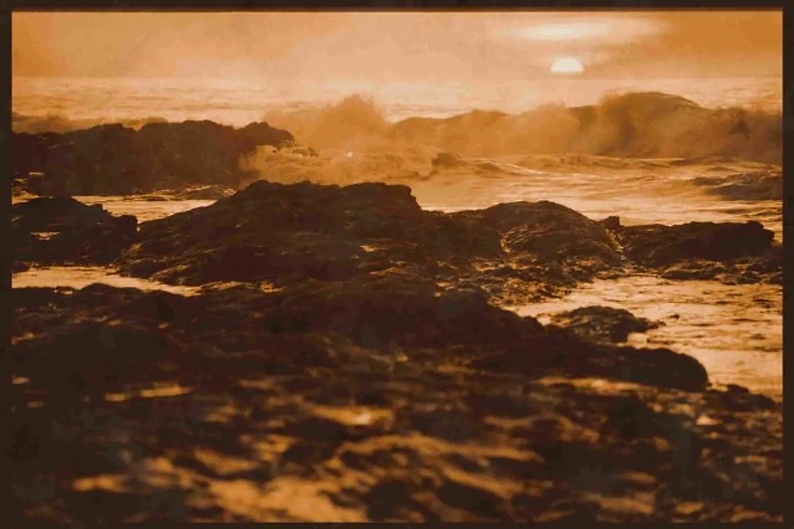 Animations événementielles, LA MOUCHE PRODUCTION