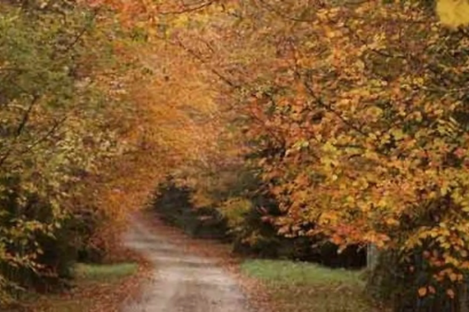 Animations événementielles, LA MOUCHE PRODUCTION