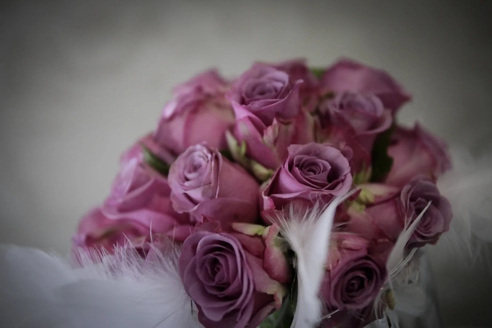 Photographe, MORGAN LHOMME - PHOTOGRAPHY