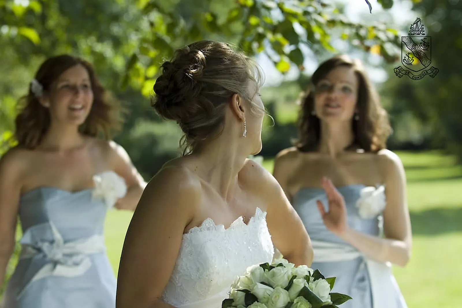 Performer, ROBBIE CONDER