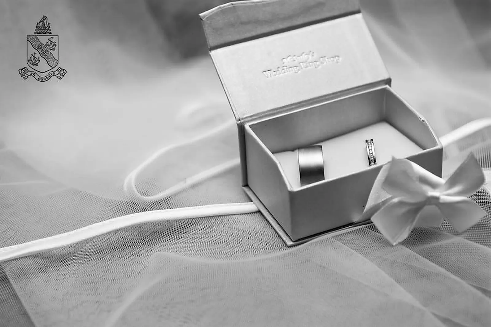 Performer, ROBBIE CONDER