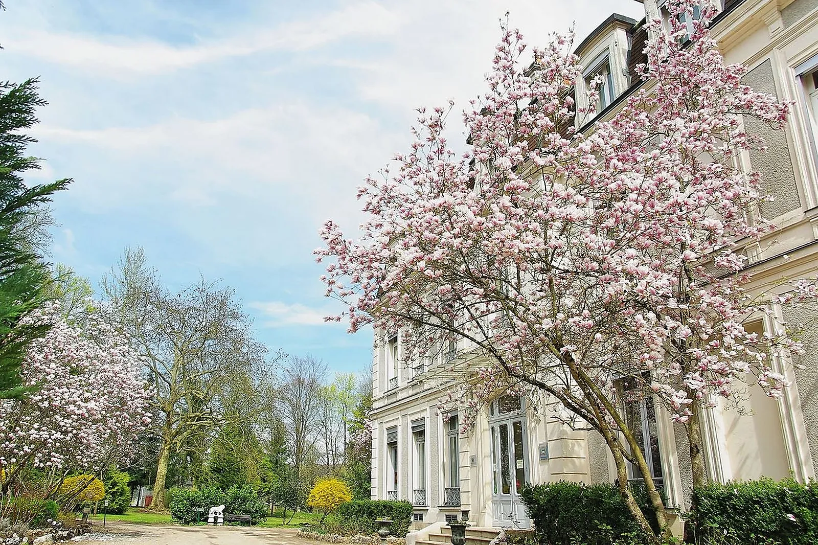 CHÂTEAU DE LA DAME BLANCHE 