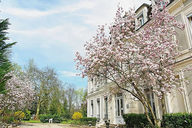 CHÂTEAU DE LA DAME BLANCHE 