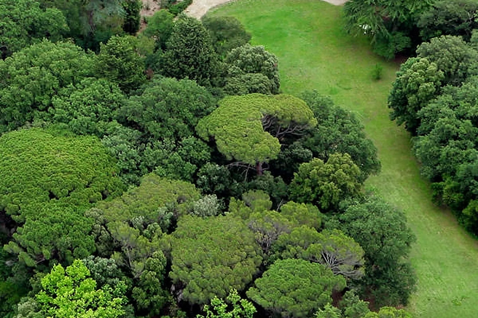 CHÂTEAU DE ROQUELUNE