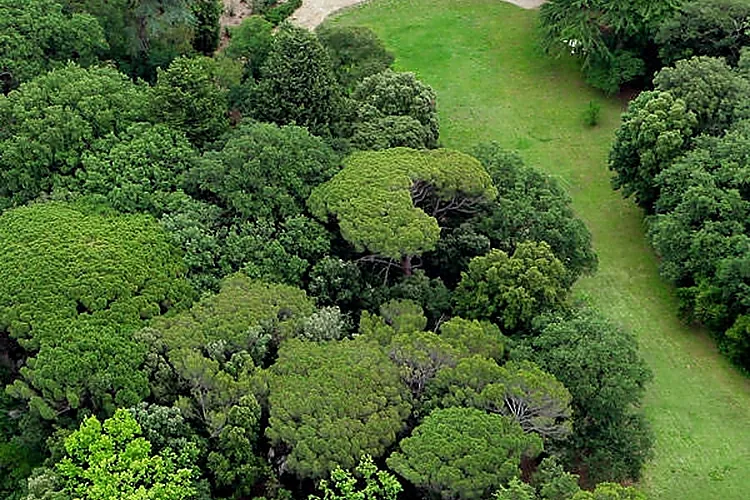 CHÂTEAU DE ROQUELUNE