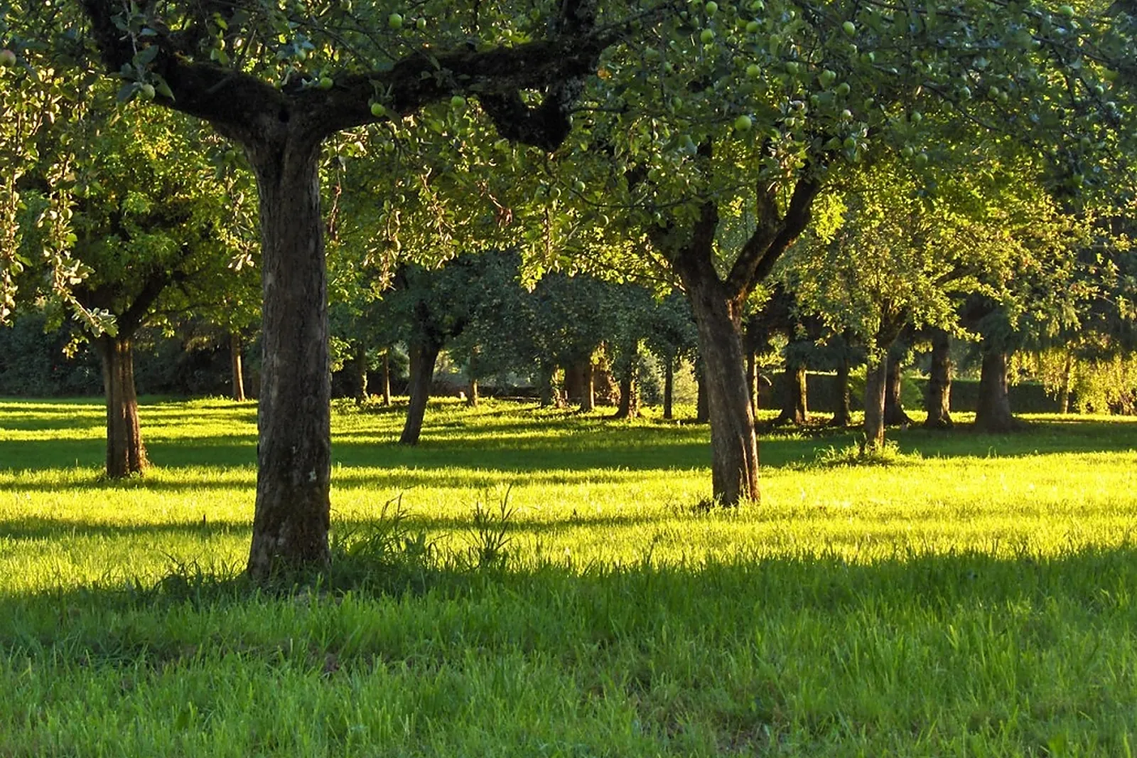Lieux événementiels, CHÂTEAU DE SEDAIGES
