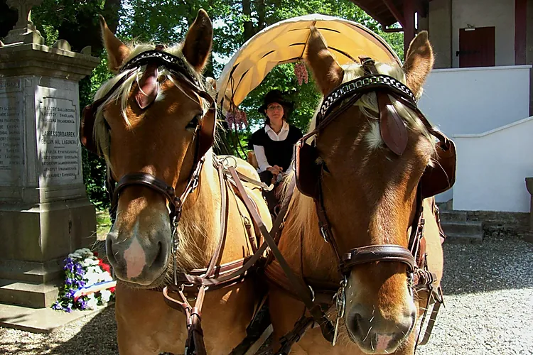 ZALDIKAROAN EN CALECHE