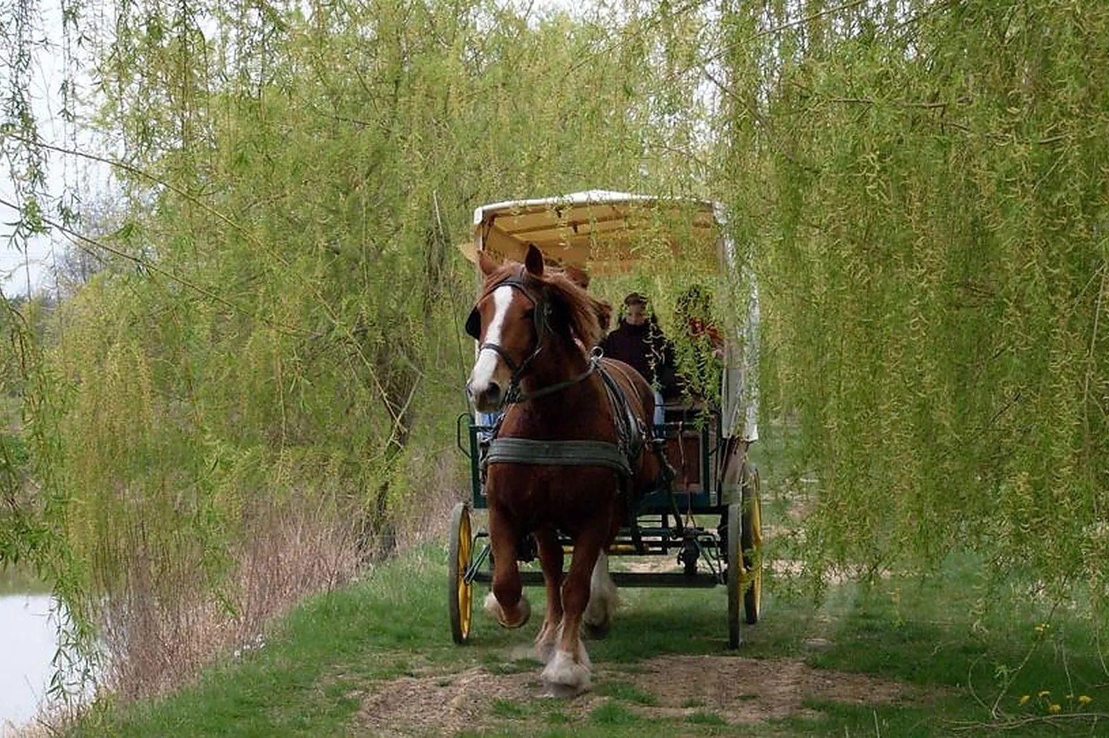 Animations événementielles, ATTELAGE DE VILLANDRY 