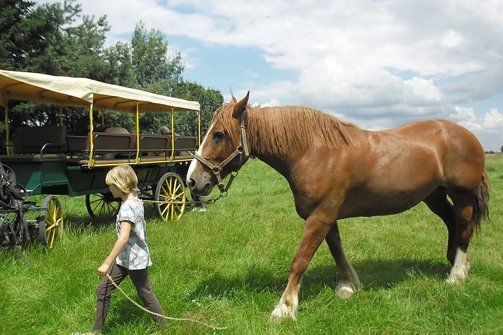 Animations événementielles, ATTELAGE DE VILLANDRY 