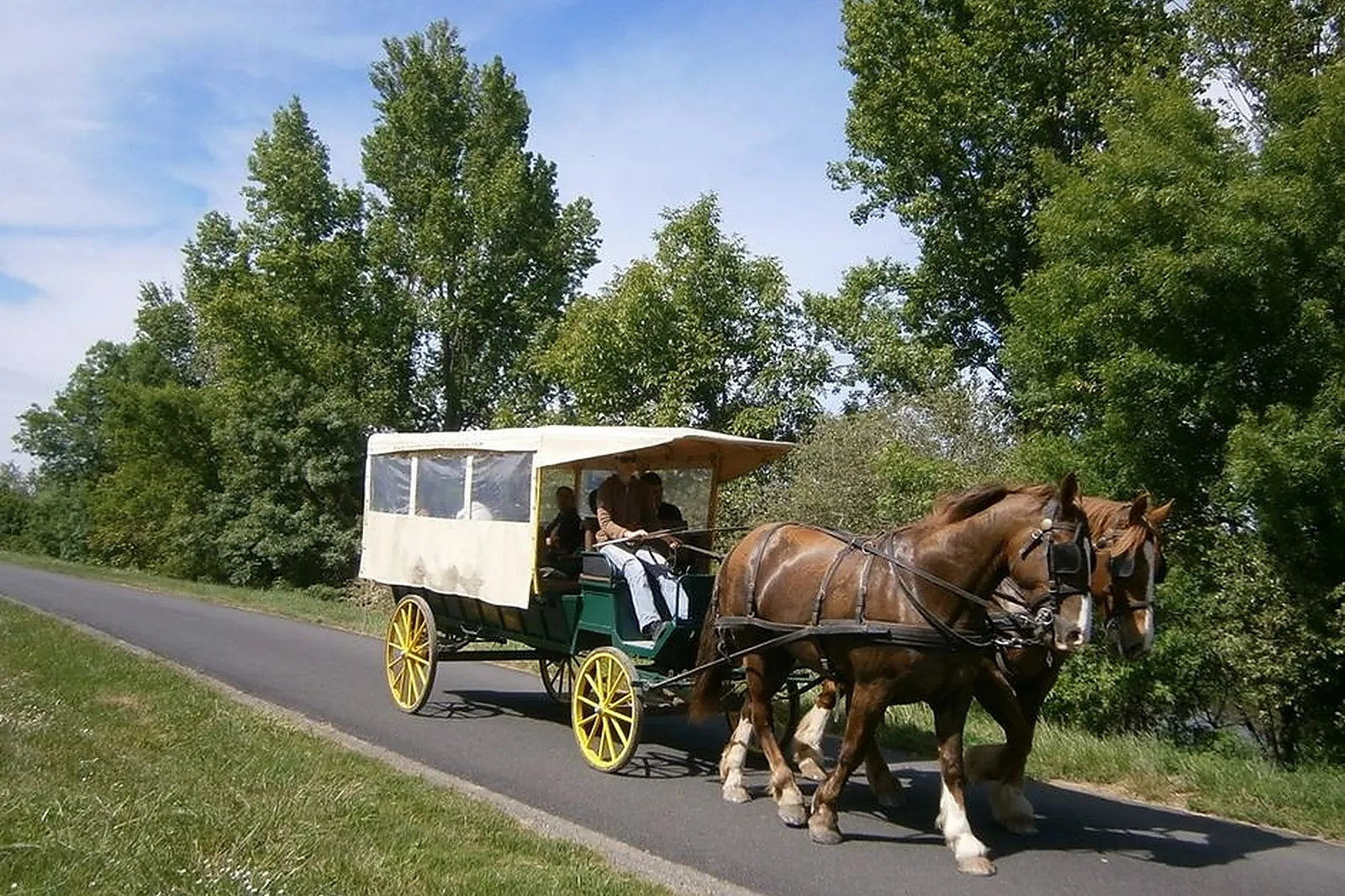 Animations événementielles, ATTELAGE DE VILLANDRY 