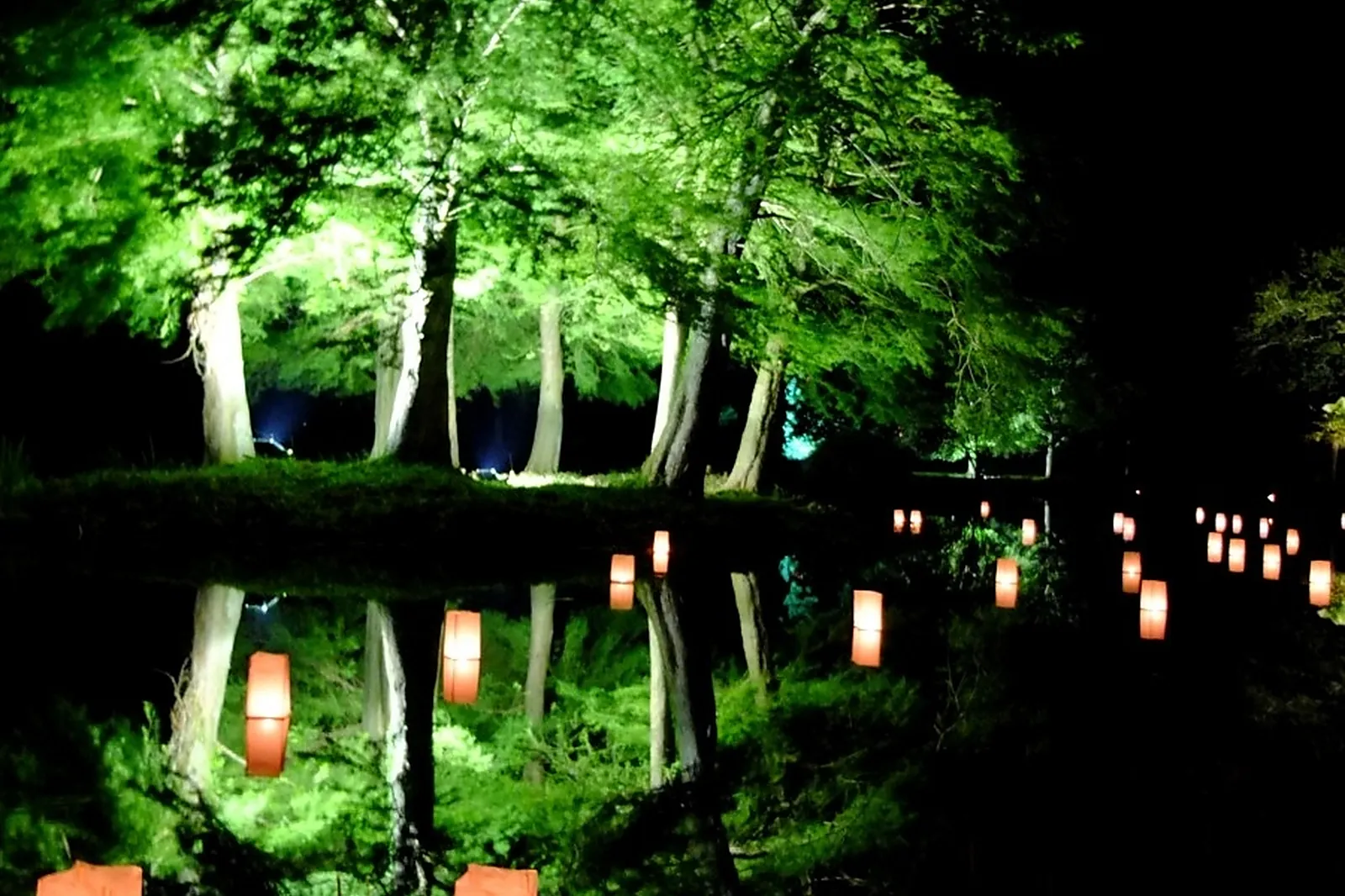 Prestations techniques, O.F.X EVÉNÉMENTS