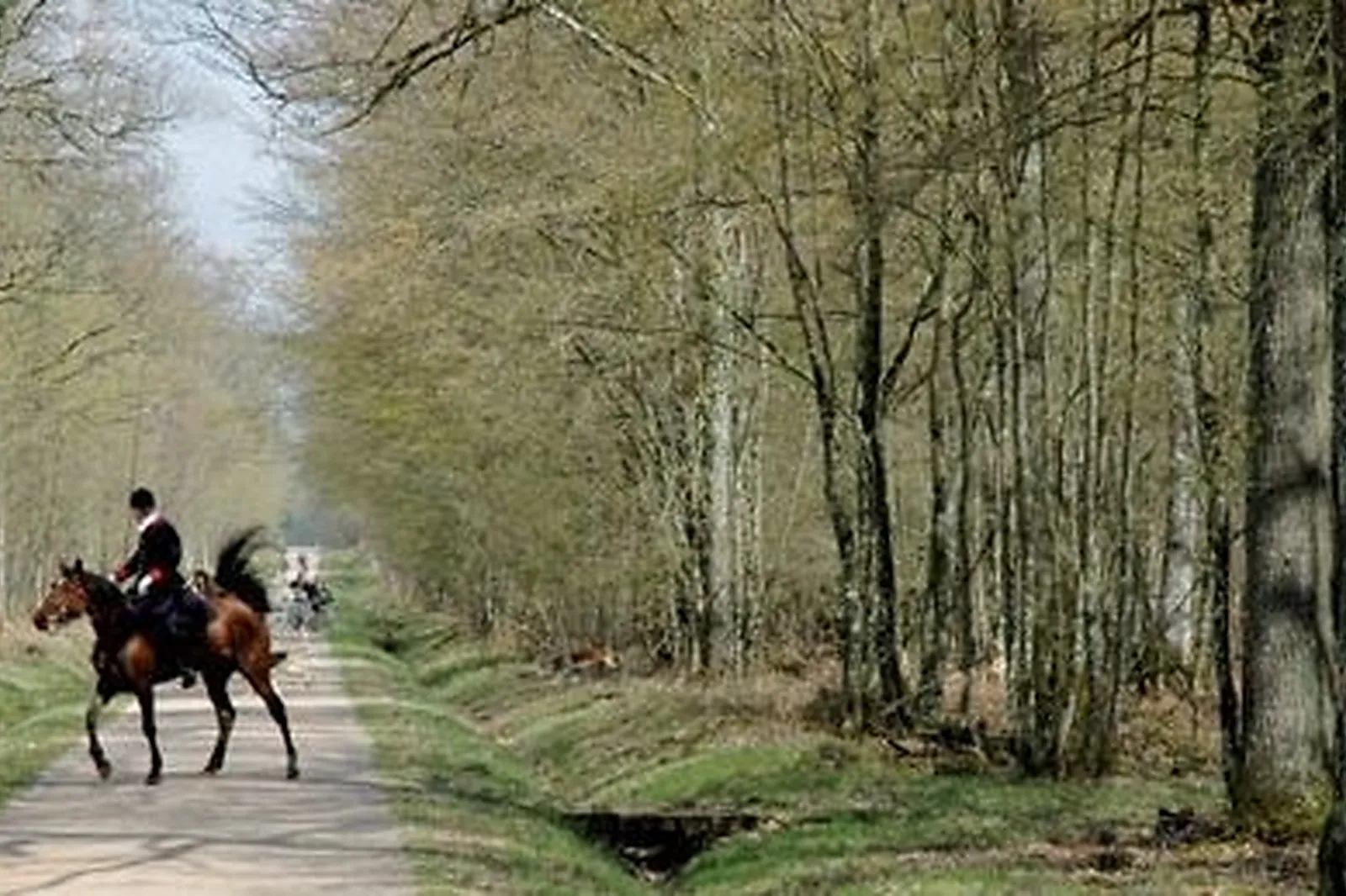 Lieux événementiels, CHÂTEAU DE LA PIERRE 