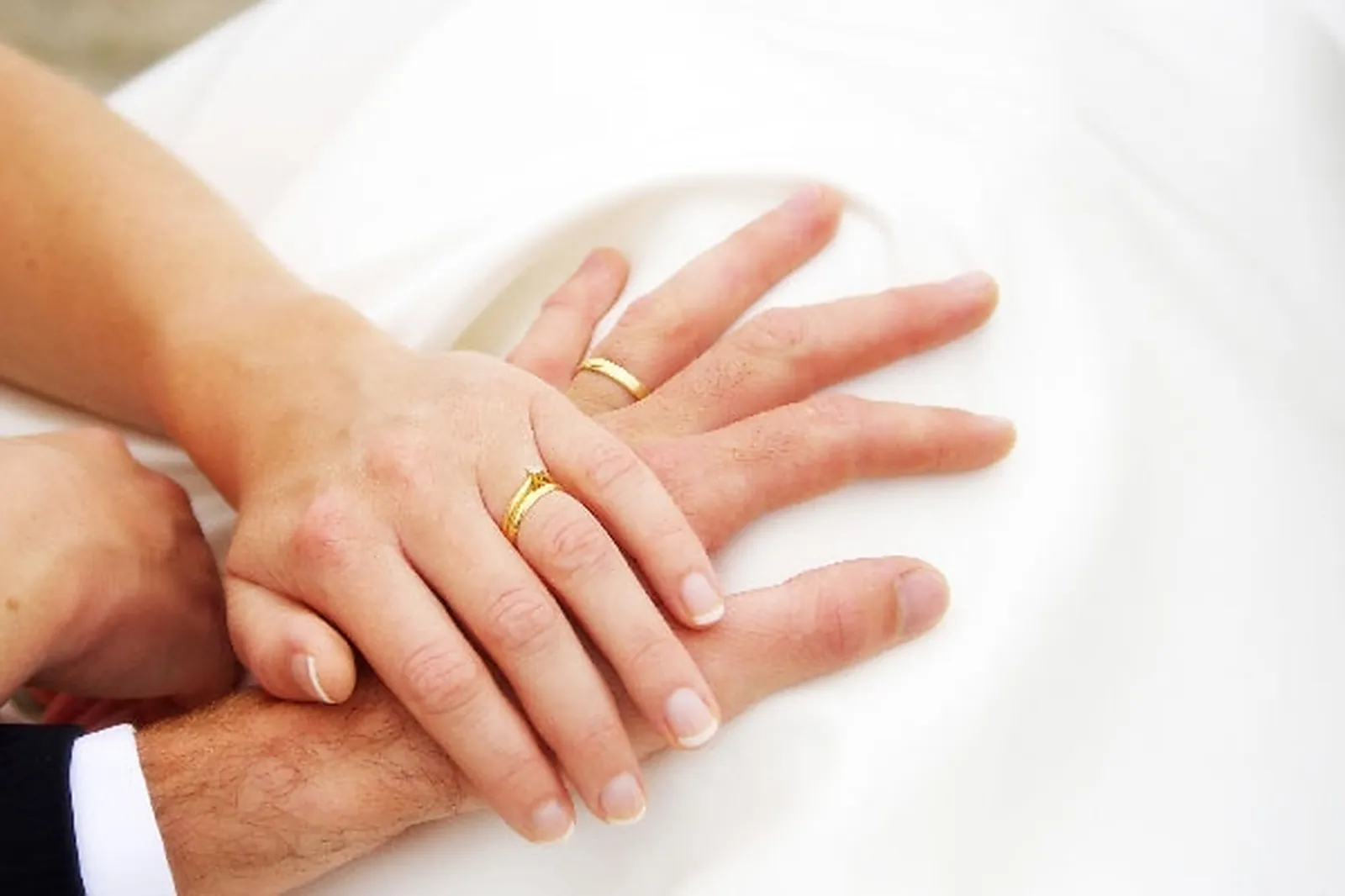 Photographe, OBJECTIF NATUREL