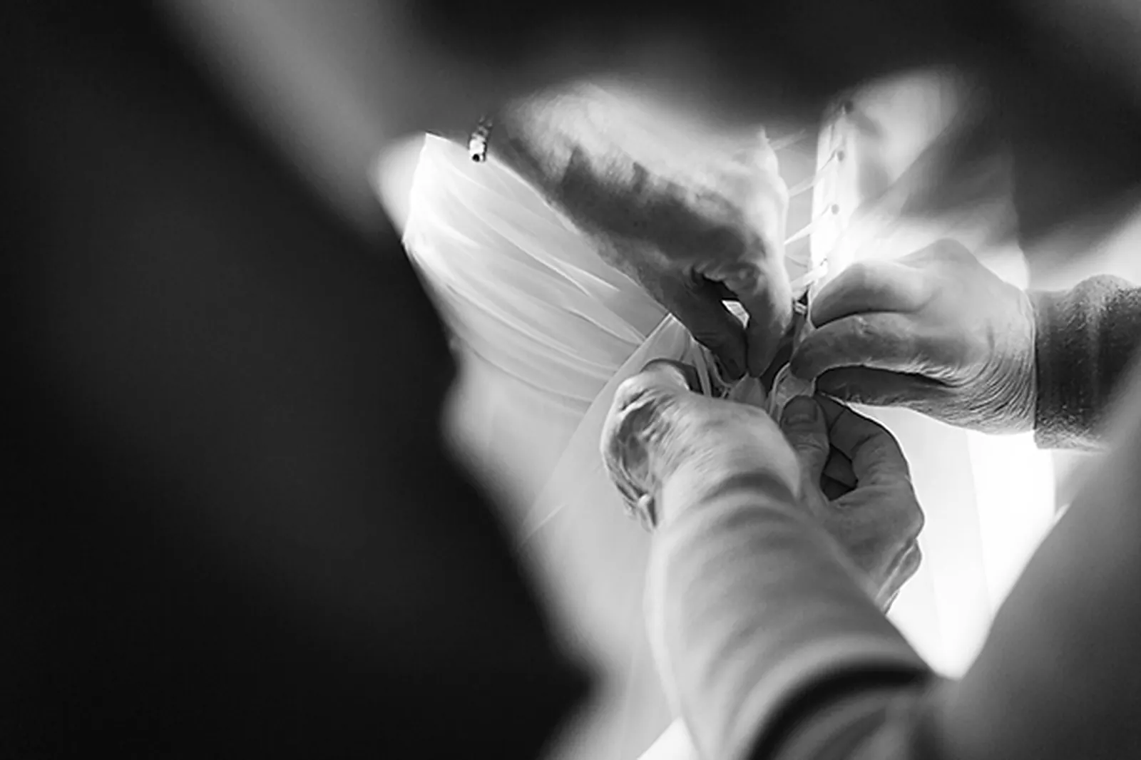 Cafés et Restaurants, DELPHINE BERNUZZI